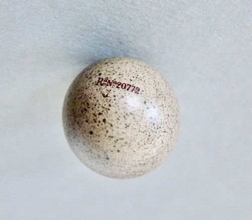 fig 4. RARE VICTORIAN SILVER & PORCELAIN SPECKLED EGG SCENT BOTTLE BY SAUNDERS & SHEPHERD, BIRMINGHAM 1885