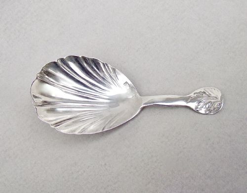 fig 1. RARE EXETER SILVER CADDY SPOON BY HENRY ELLIS & SON, EXETER 1849