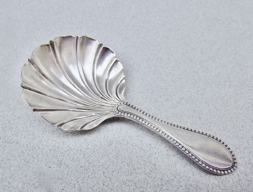 fig 1. Victorian sterling silver caddy spoon featuring a fluted shell-shaped bowl and a beaded border along the handle.
