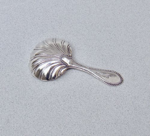 fig 2. Victorian sterling silver caddy spoon featuring a fluted shell-shaped bowl and a beaded border along the handle.
