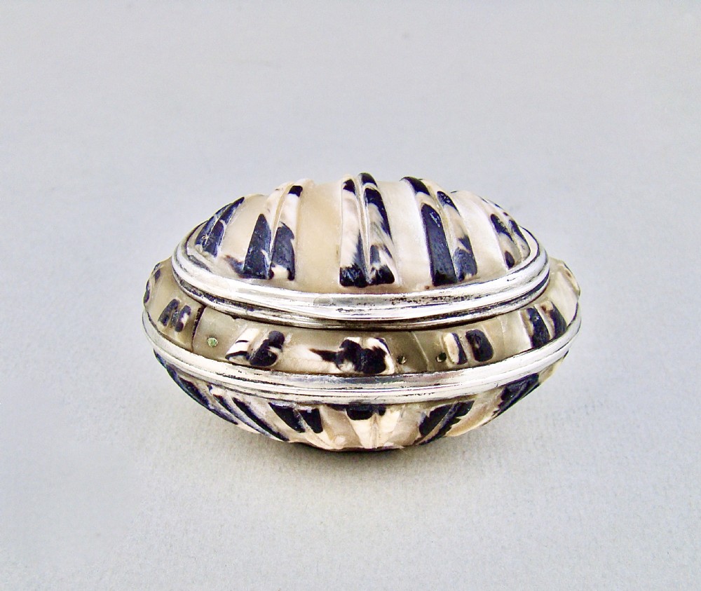 UNUSUAL GEORGIAN SILVER MOUNTED SHELL SNUFF BOX, CIRCA 1790