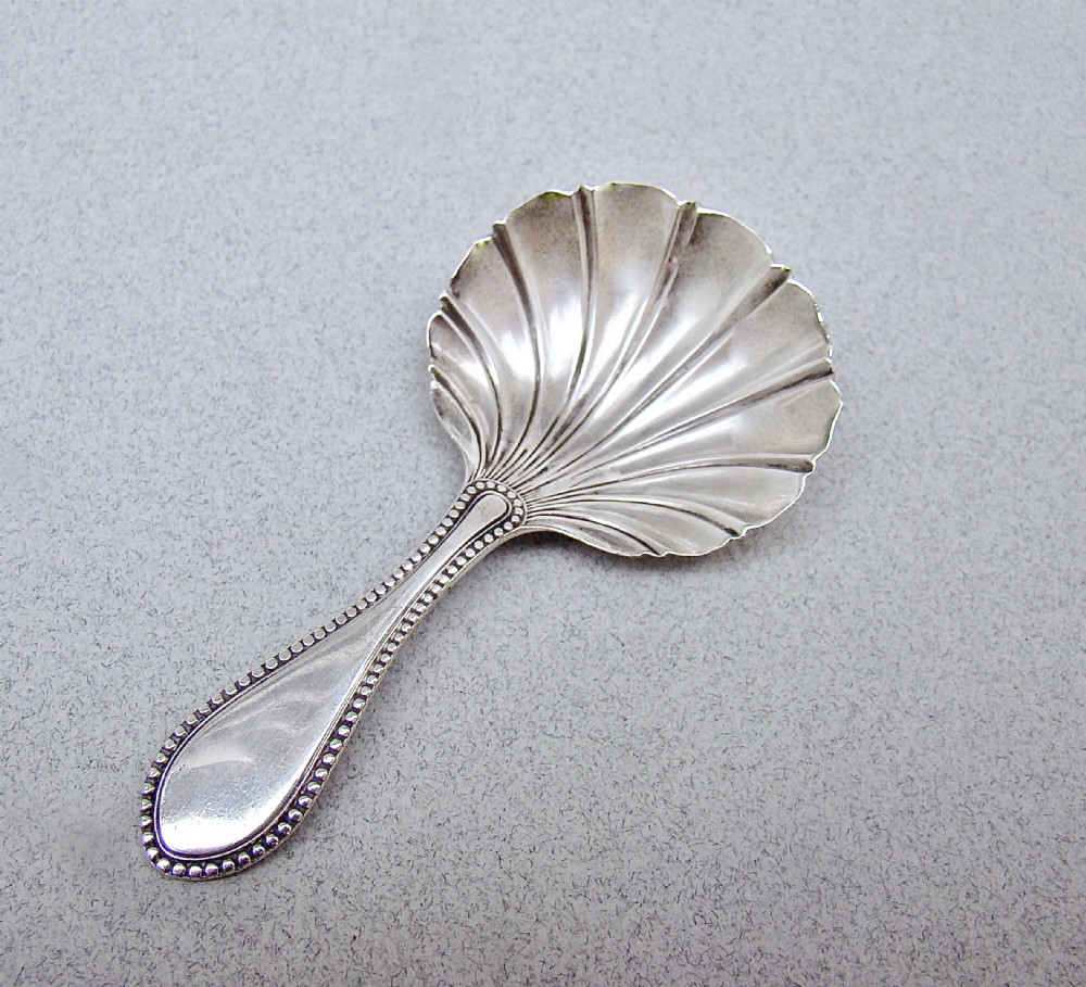 Victorian sterling silver caddy spoon featuring a fluted shell-shaped bowl and a beaded border along the handle.
