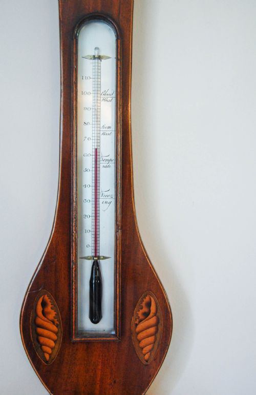 fig 2. Regency Period Mahogany & Satinwood Wheel or Banjo Barometer by C. Bellatti