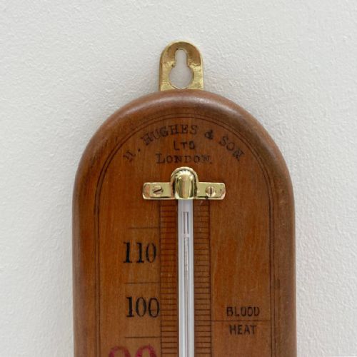 fig 2. Edwardian Wall Thermometer by Henry Hughes & Son Ltd London