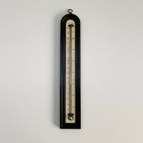Large Georgian Wall Thermometer in Case by Matthew Berge London