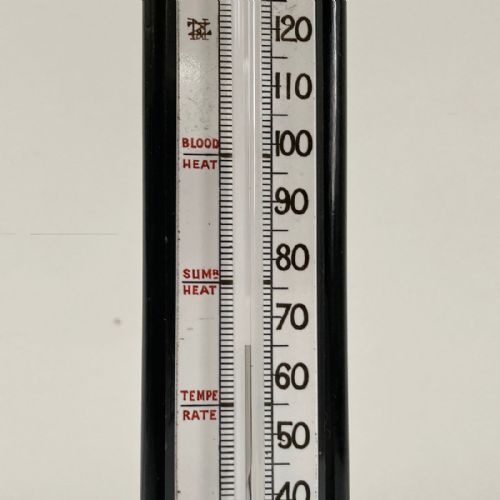 LARGE VICTORIAN DESK THERMOMETER ON SERPENTINE BASE BY NEGRETTI ZAMBRA LONDON - ADDITIONAL PHOTO 2