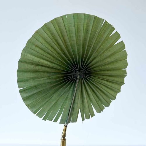 fig 3. An antique Victorian brass microscopy candle shade with a pleated green fan screen standing beside its original velvet-lined presentation case.