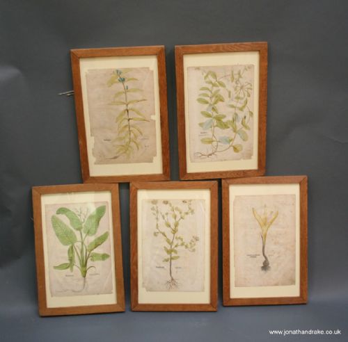 Botanical Art, Set of 5