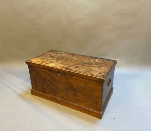 C19th Elm Trunk