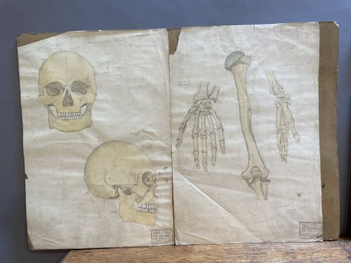COLLECTION OF 10 ACADEMIC SKETCH STUDIES - ADDITIONAL PHOTO 4