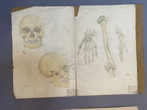 COLLECTION OF 10 ACADEMIC SKETCH STUDIES - ADDITIONAL PHOTO 7