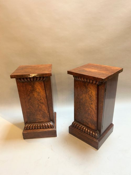 Pair William IV Mahogany Pedestal Cabinets