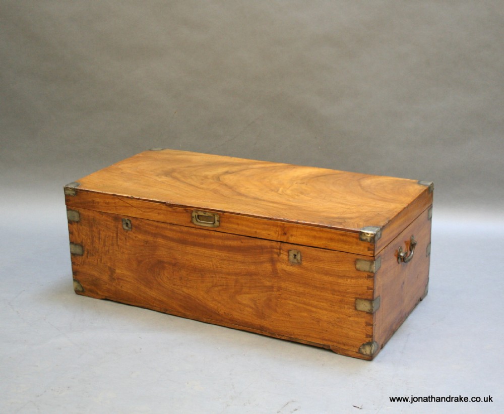 C19th camphor campaign trunk