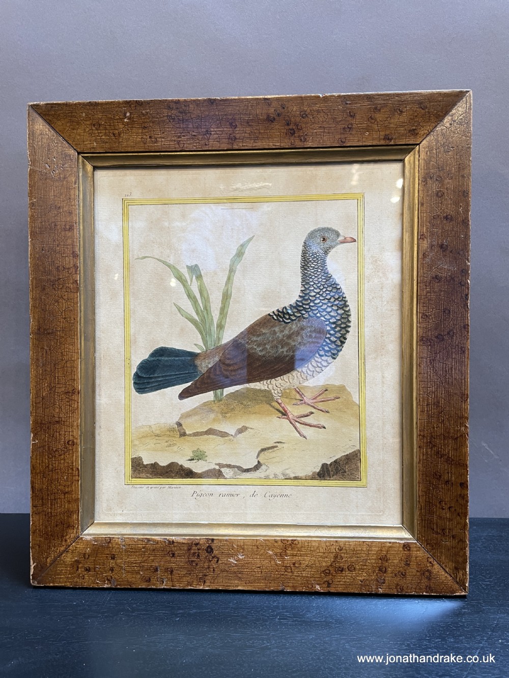 C18th coloured engraving