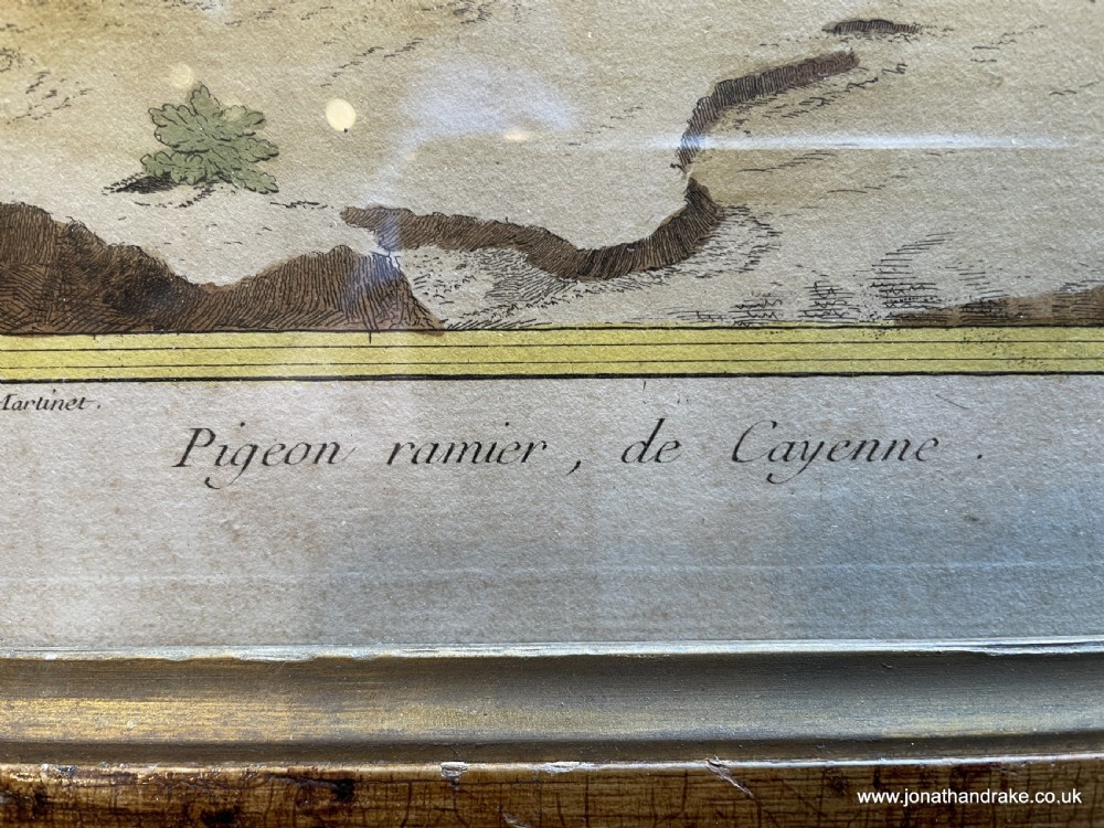 C18th coloured engraving View IV