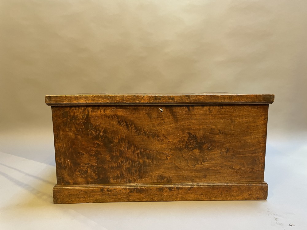 C19th elm trunk View II