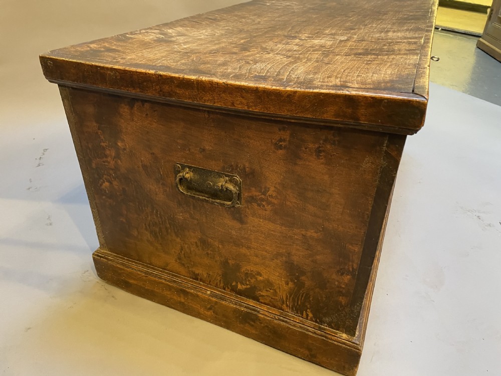 C19th elm trunk View V