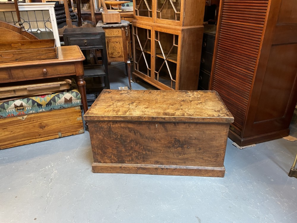 C19th elm trunk View VI