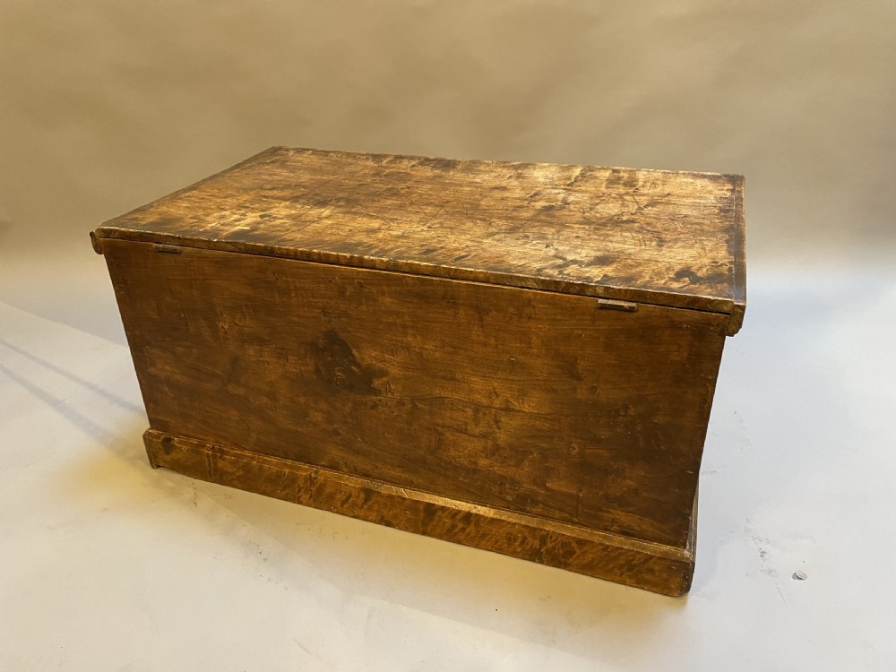 C19th elm trunk View VIII
