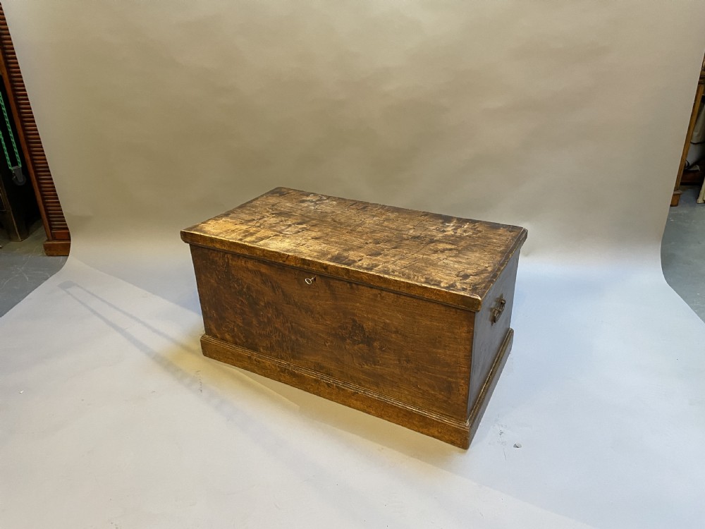 C19th elm trunk View IX