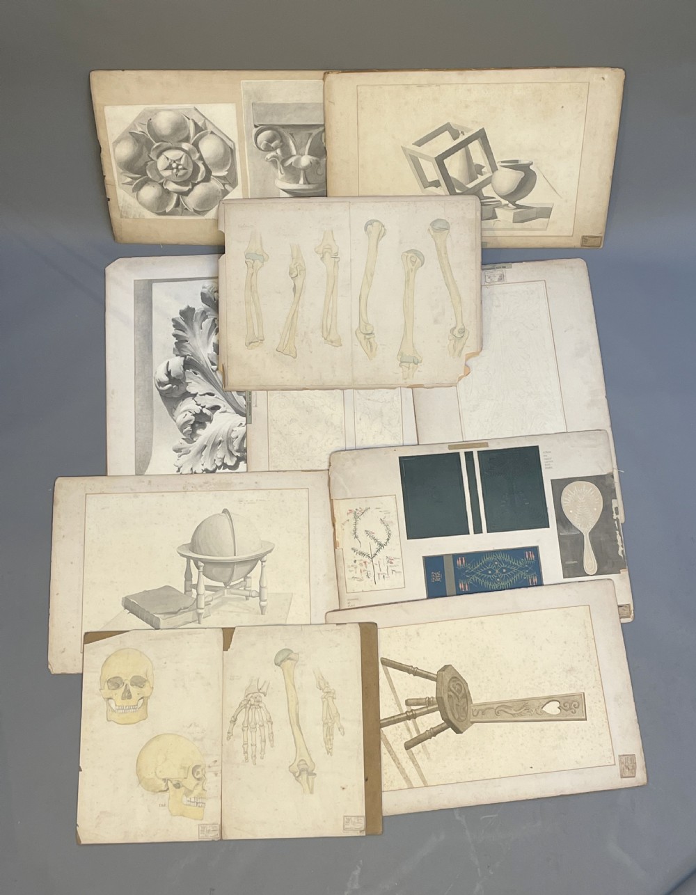 A collection of ten 19th-century academic paper sketches featuring anatomical bones, skulls, architectural columns, and geometric forms.