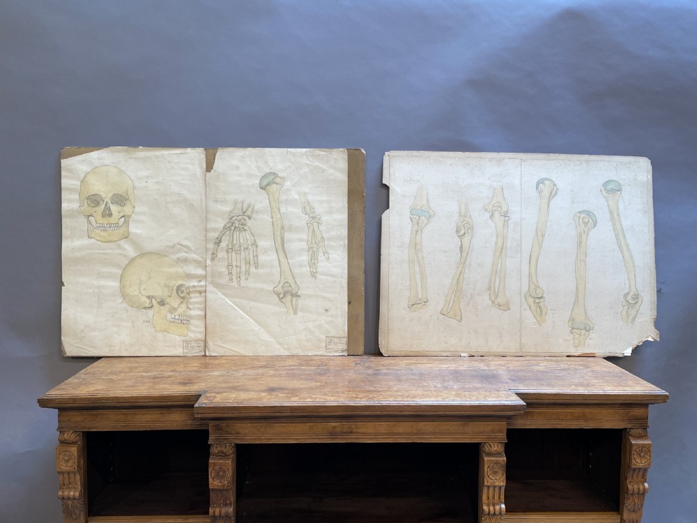 A collection of ten 19th-century academic paper sketches featuring anatomical bones, skulls, architectural columns, and geometric forms. View III