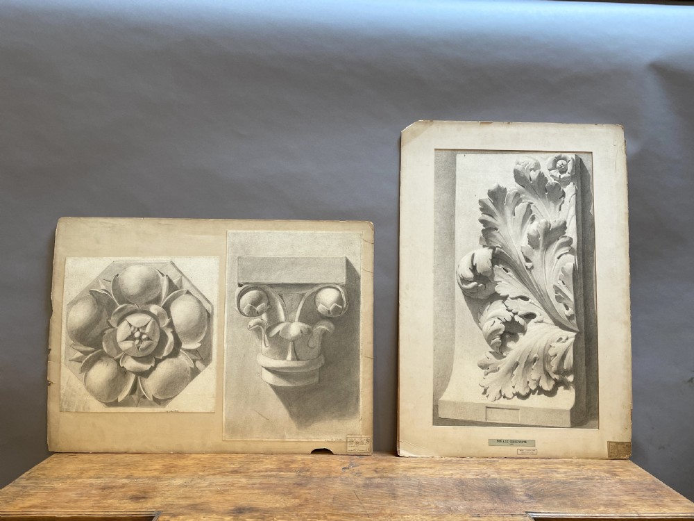 A collection of ten 19th-century academic paper sketches featuring anatomical bones, skulls, architectural columns, and geometric forms. View X