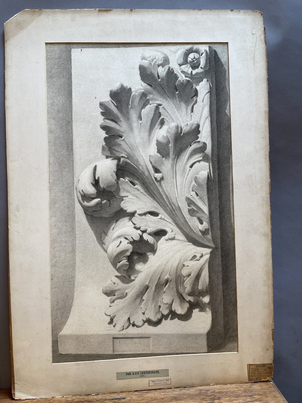 A collection of ten 19th-century academic paper sketches featuring anatomical bones, skulls, architectural columns, and geometric forms. View XI