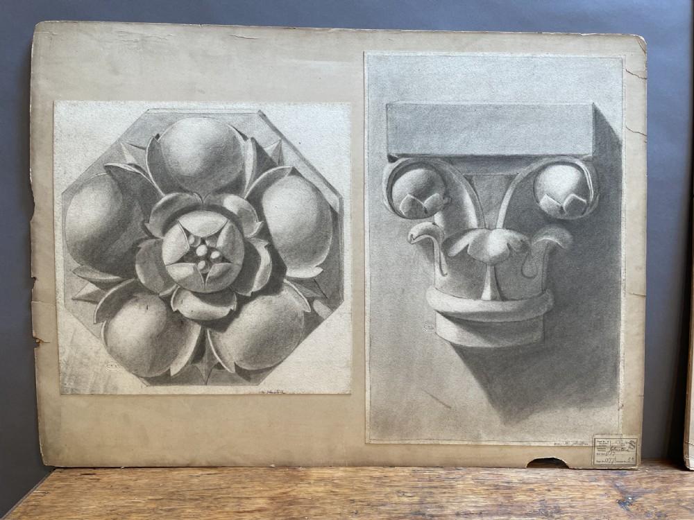 A collection of ten 19th-century academic paper sketches featuring anatomical bones, skulls, architectural columns, and geometric forms. View XII