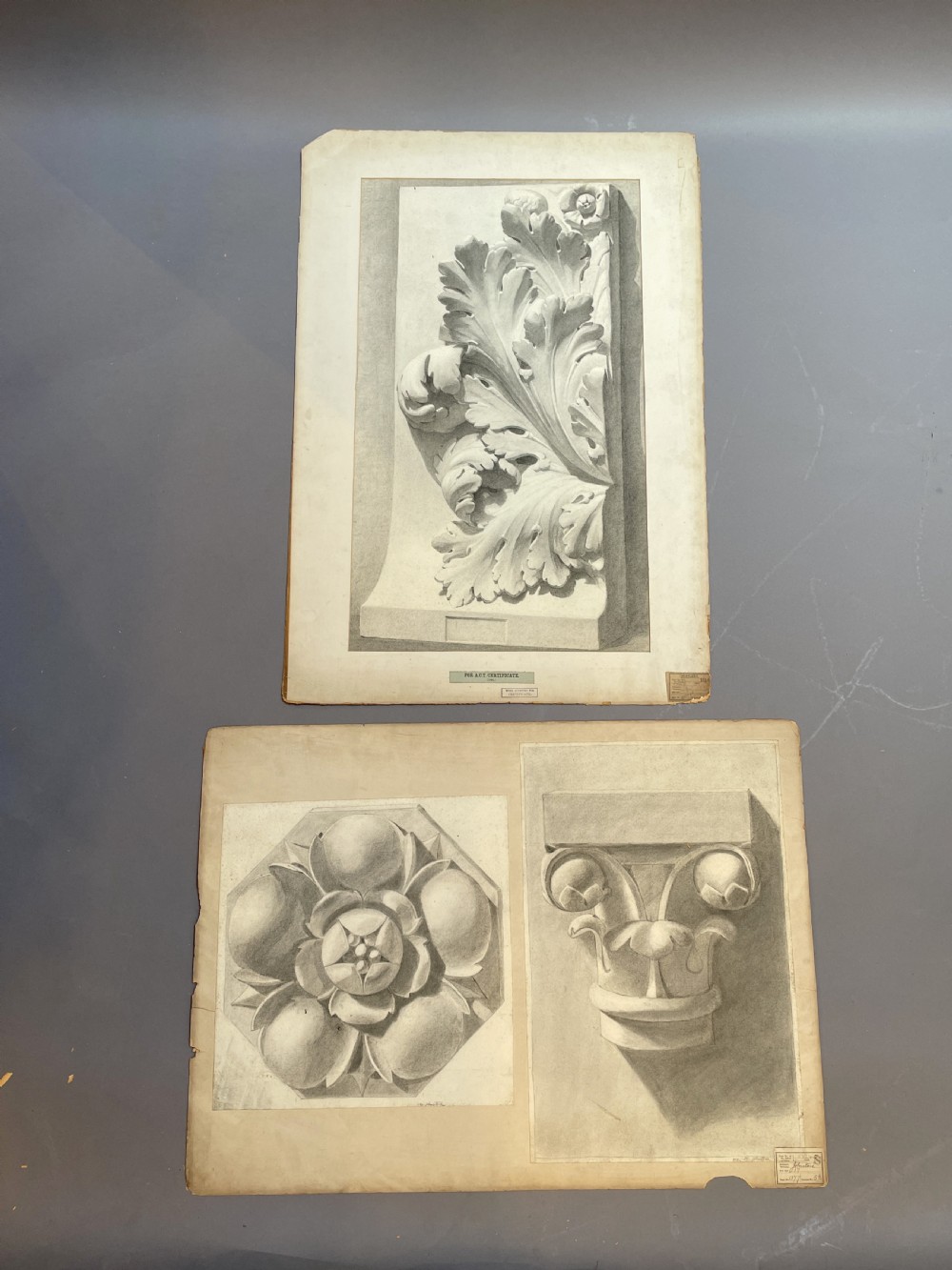 A collection of ten 19th-century academic paper sketches featuring anatomical bones, skulls, architectural columns, and geometric forms. View XV