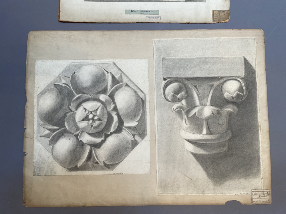 A collection of ten 19th-century academic paper sketches featuring anatomical bones, skulls, architectural columns, and geometric forms. View XVI