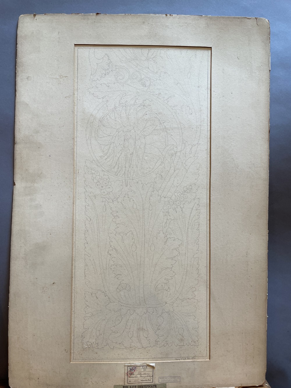 A collection of ten 19th-century academic paper sketches featuring anatomical bones, skulls, architectural columns, and geometric forms. View XX