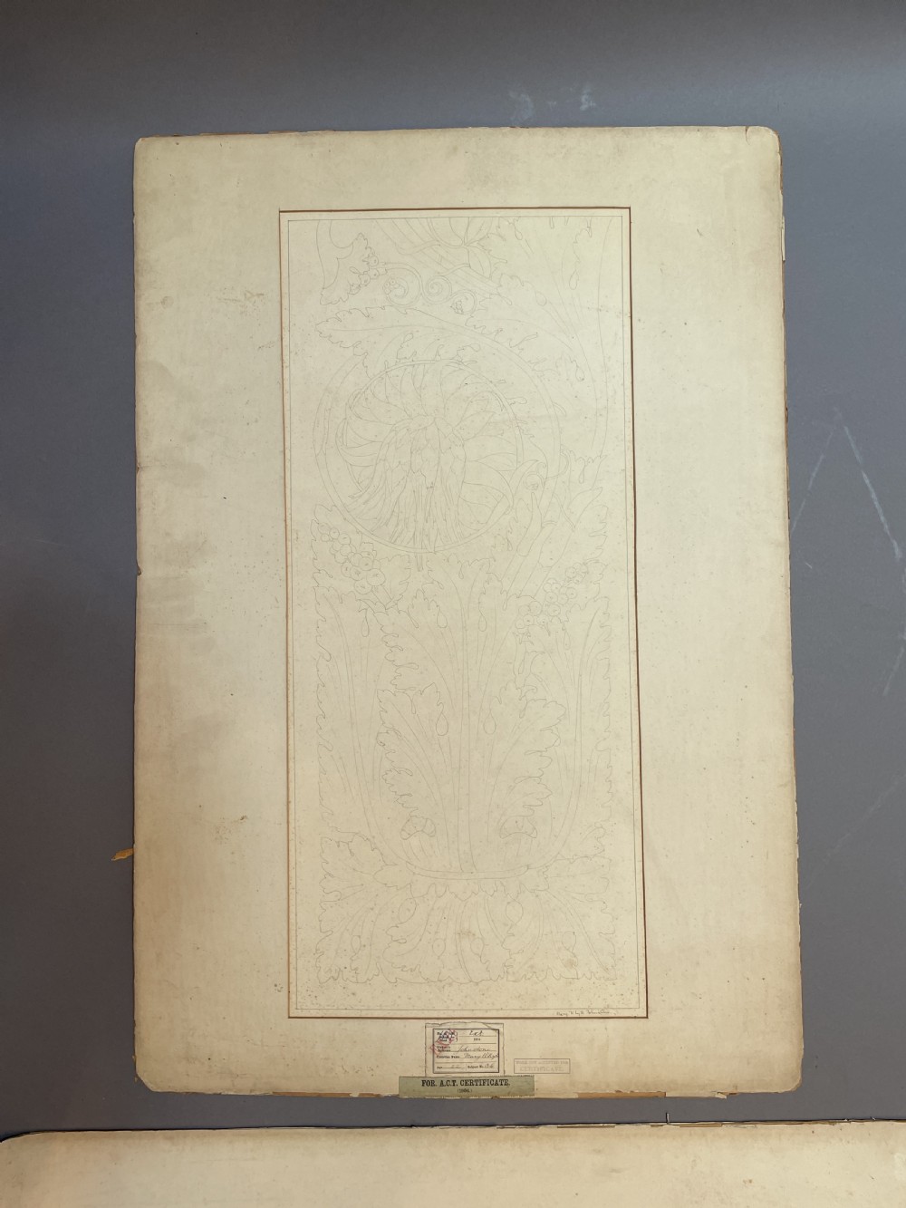 A collection of ten 19th-century academic paper sketches featuring anatomical bones, skulls, architectural columns, and geometric forms. View XXV
