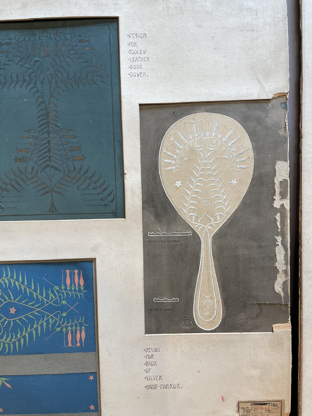 A collection of ten 19th-century academic paper sketches featuring anatomical bones, skulls, architectural columns, and geometric forms. View XXIX