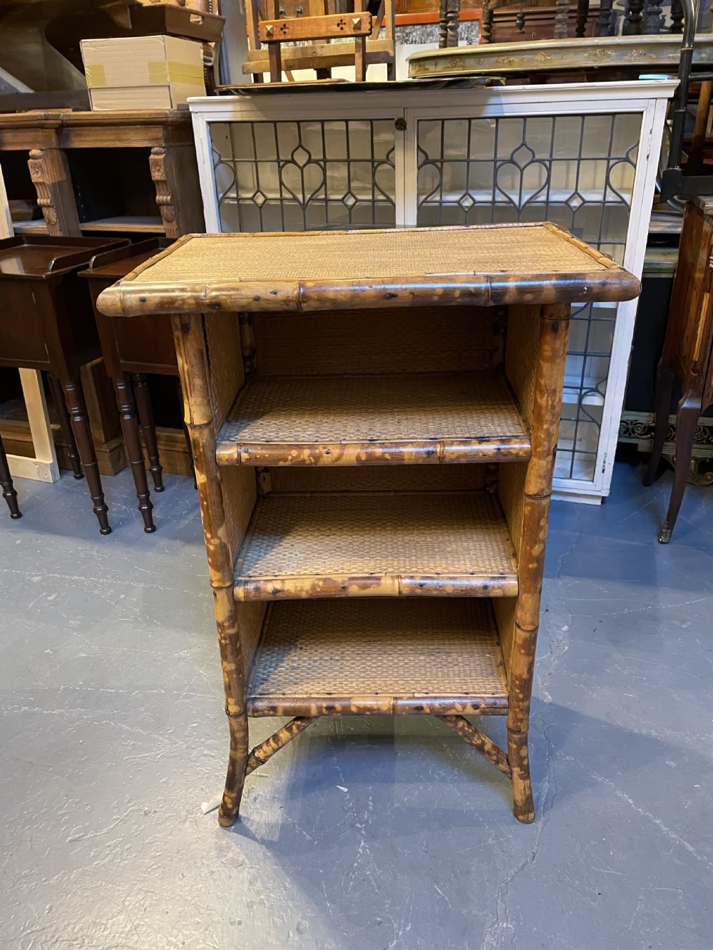 Victorian Bamboo Bookcase Shelves View IV
