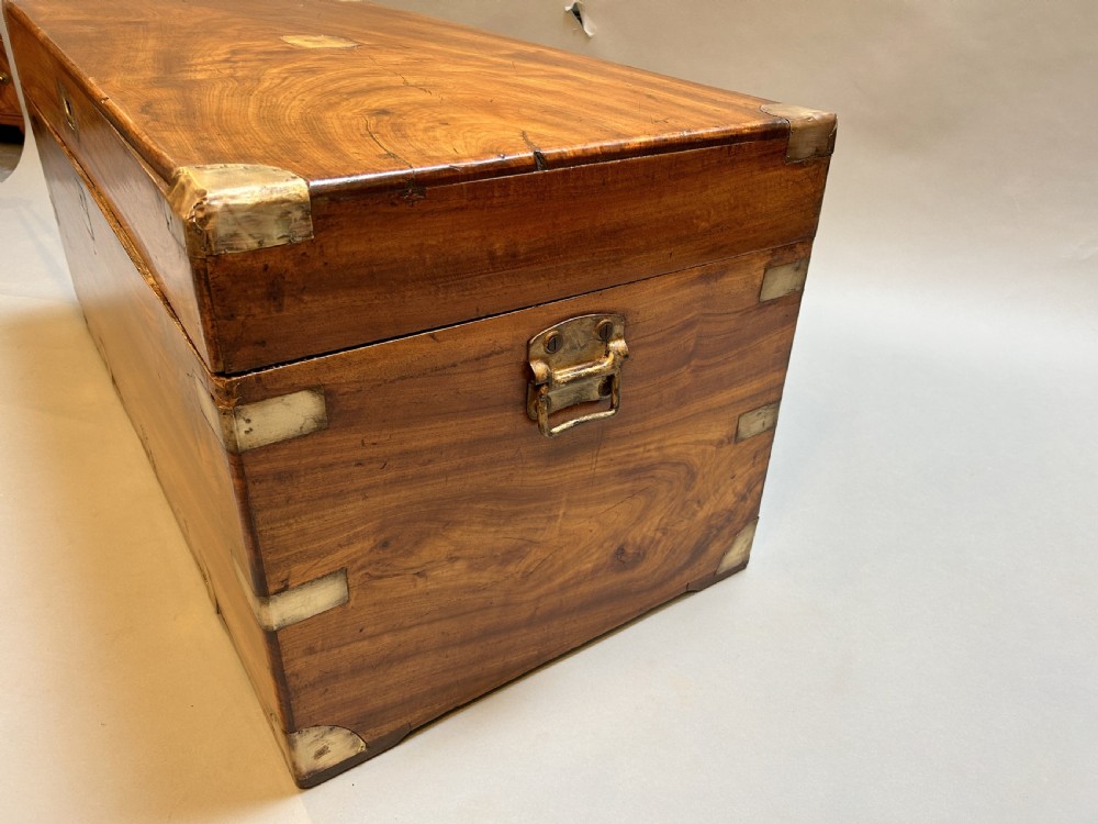 Camphor campaign trunk  View III