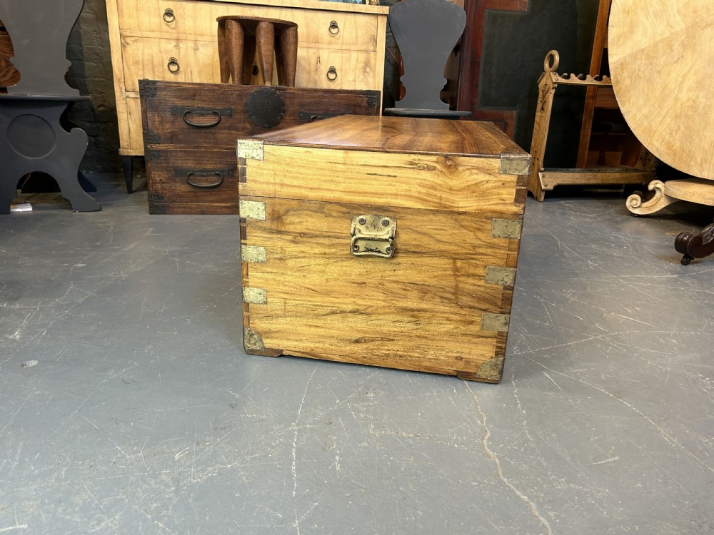 Campaign Camphor Trunk View VII
