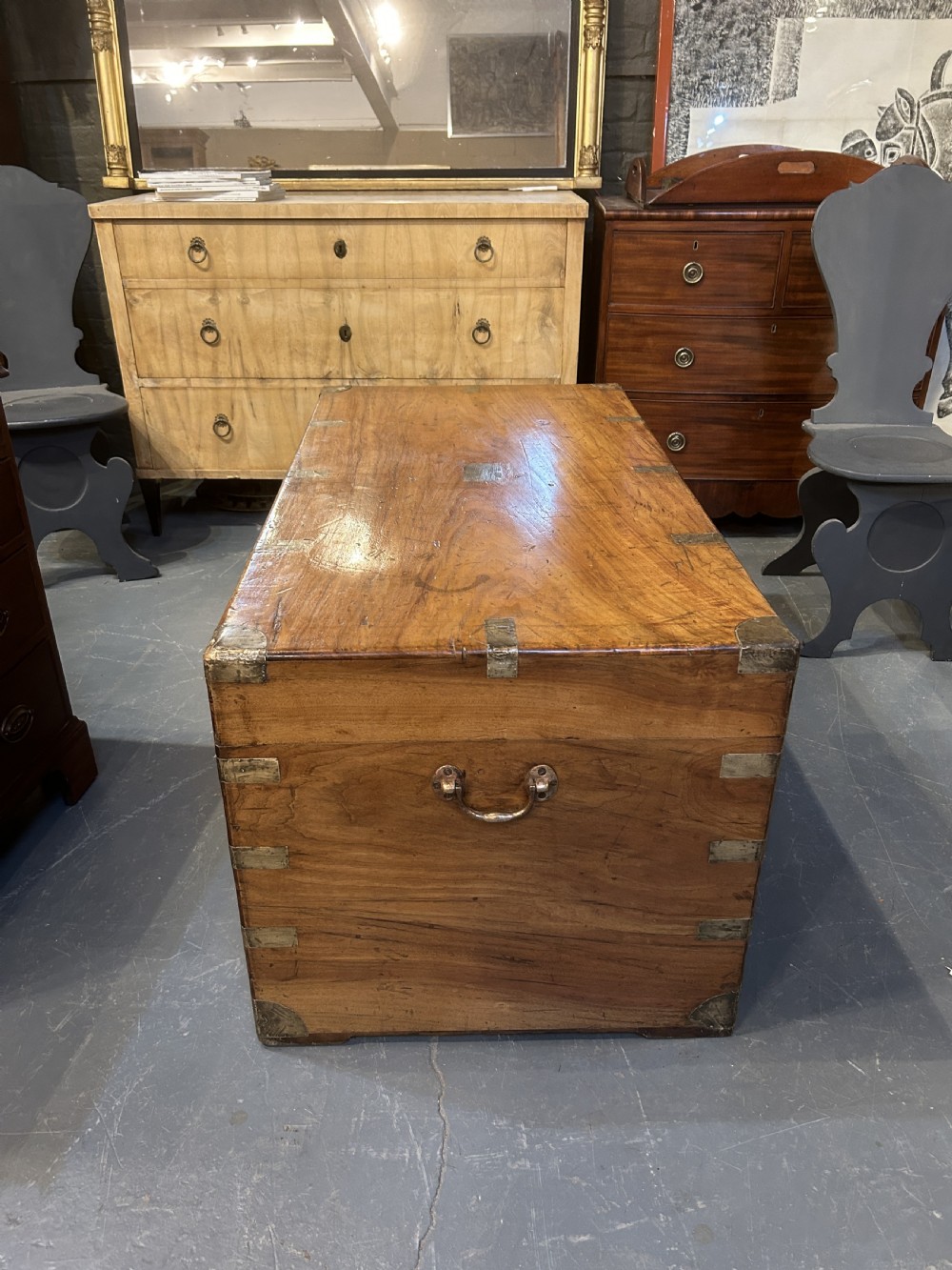 Exceptional Camphor Campaign Trunk View VI