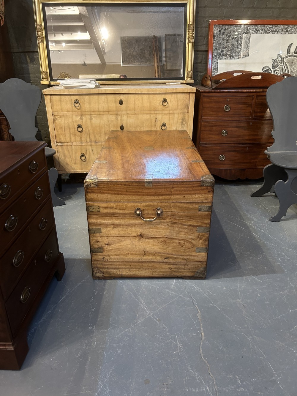Exceptional Camphor Campaign Trunk View VII