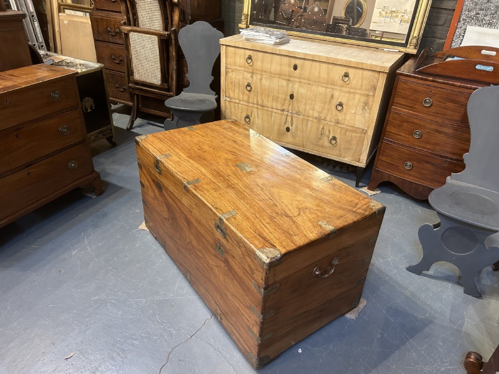 Exceptional Camphor Campaign Trunk View VIII