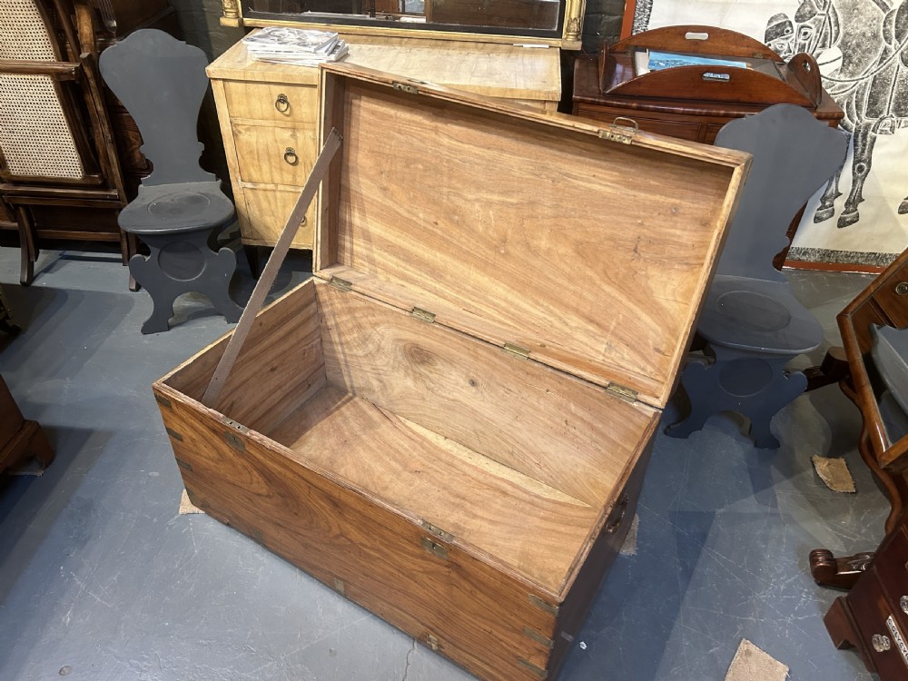 Exceptional Camphor Campaign Trunk View X