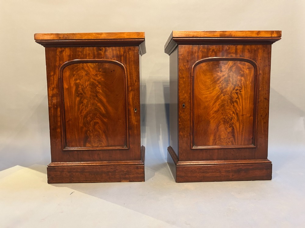 A pair of Victorian warm brown flame mahogany pedestal cabinets featuring arched panel doors and plinth bases. View III