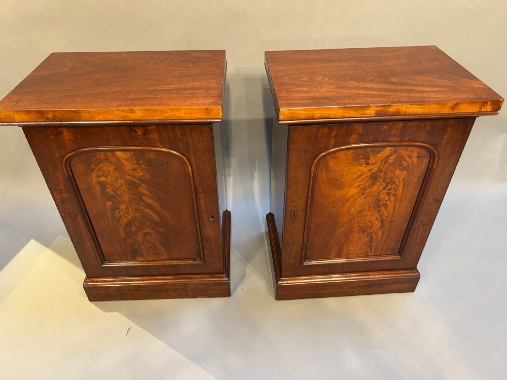 A pair of Victorian warm brown flame mahogany pedestal cabinets featuring arched panel doors and plinth bases. View IV