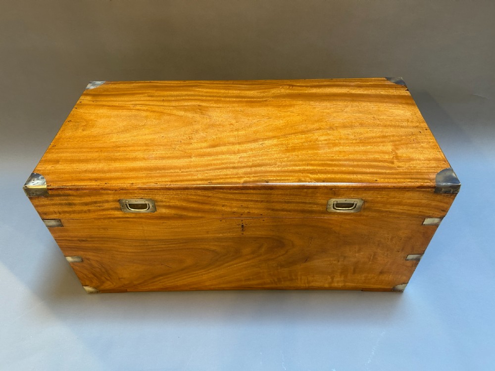 C19th camphor campaign chest trunk View V