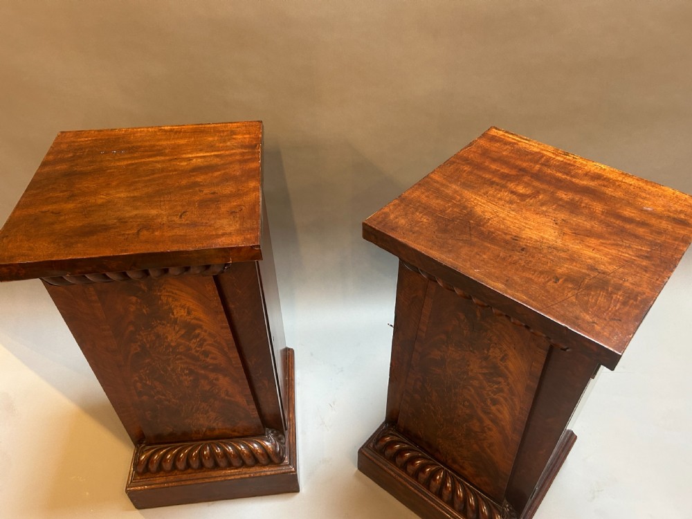Pair William IV Mahogany Pedestal Cabinets View II