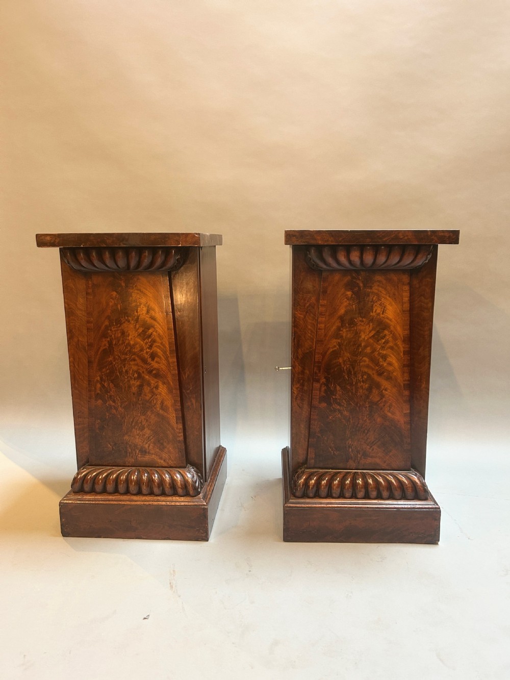 Pair William IV Mahogany Pedestal Cabinets View III