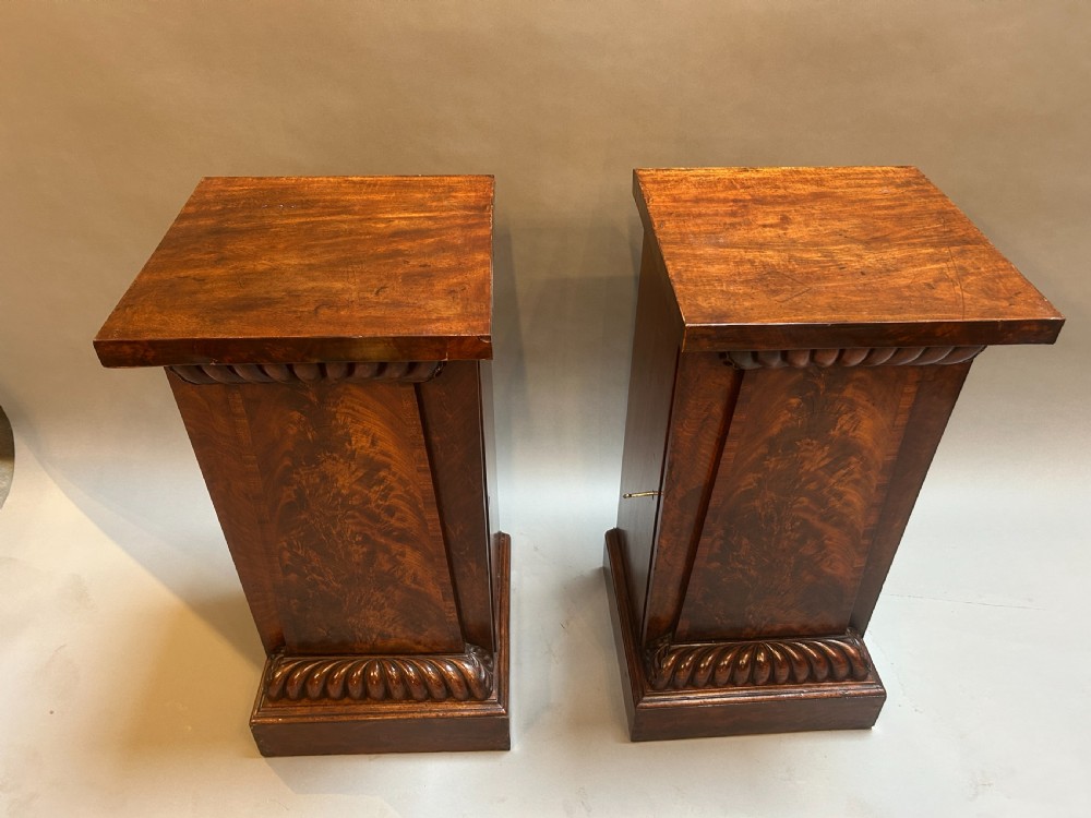 Pair William IV Mahogany Pedestal Cabinets View IV