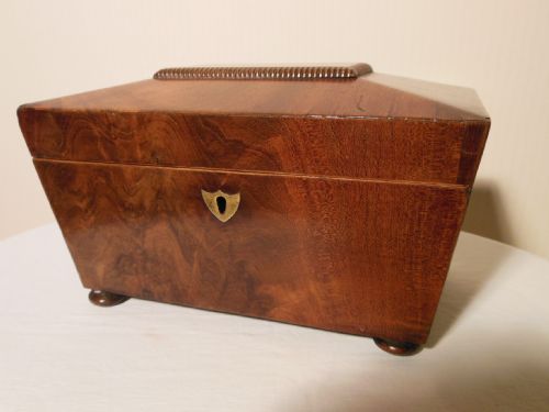 Mahogany Sarcophagus Tea Caddy