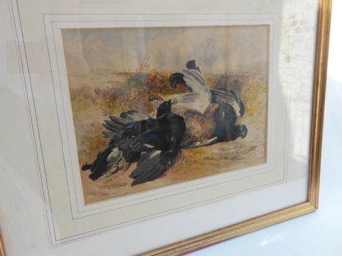VICTORIAN WATERCOLOUR OF BLACK GAME
