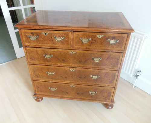 19th Century Burr Elm Chest of Drawers